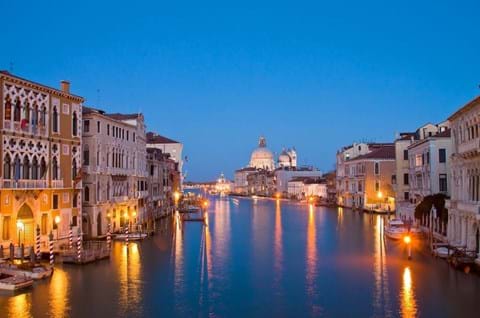 Explore Venice on a guided excursion image