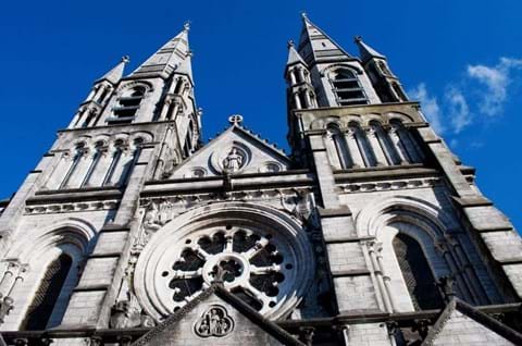 Discover Saint Fin Barre's Cathedral on Cork break image