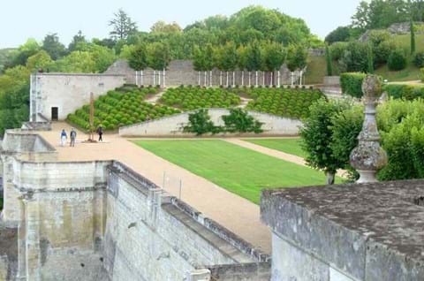 Discover Château D'amboise image
