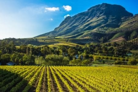 Cape Town, the Garden Route & Winelands - Solo Traveller