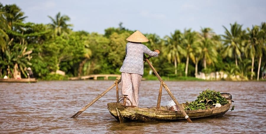 Experience Mekong Delta cruise