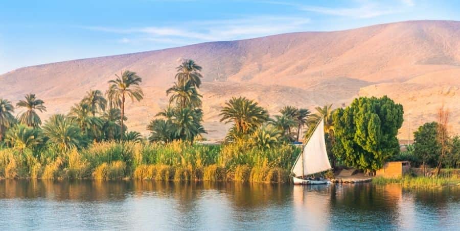 Guided River Cruise on the Nile