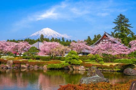 Gardens & Sights of Japan
