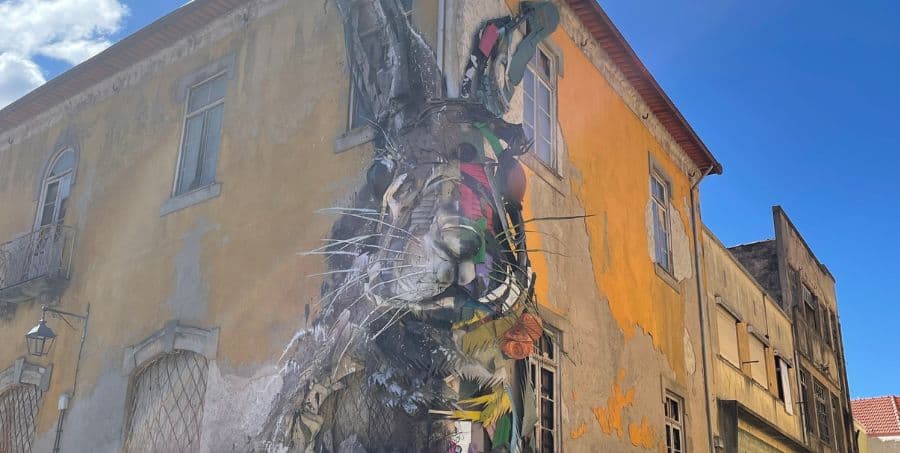 See Half Rabbit in Porto