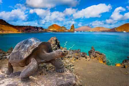 Discover Ecuador & The Galapagos Islands - Unique Small Group
