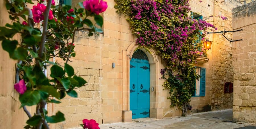 Guided tours of Mdina